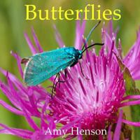 Butterflies (Learn Fun Facts about Butterflies and See Amazing Butterfly Pictures) 149758812X Book Cover