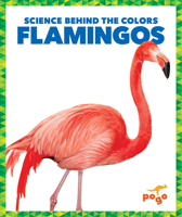 Flamingos 1645275817 Book Cover