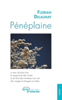 Pénéplaine (French Edition) 2355239010 Book Cover