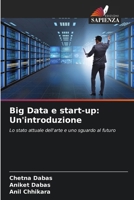 Big Data e start-up: Un'introduzione (Italian Edition) 620714094X Book Cover