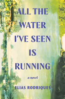 All the Water I've Seen Is Running 1324021926 Book Cover