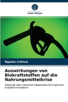 Auswirkungen von Biokraftstoffen auf die Nahrungsmittelkrise 6203403490 Book Cover