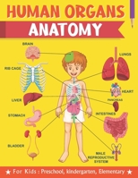 Human Organs Anatomy For Kids Preschool kindergarten Elementary: Learning human anatomy kids & toddlers, book for preschooler, kindergarten for Boys, ... ages 2-4 4-8, to learn body human anatomy null Book Cover