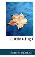A Wonderful Night 1481155245 Book Cover