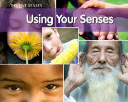 Using Your Senses 1432954954 Book Cover