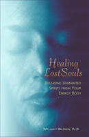 Healing Lost Souls: Releasing Unwanted Spirits from Your Energy Body 1571743669 Book Cover