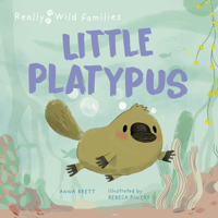 Little Platypus: A Day in the Life of a Platypus Puggle 0711274185 Book Cover