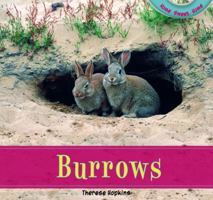 Burrows 1435826973 Book Cover