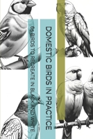 DOMESTIC BIRDS IN PRACTICE: 65 BIRDS TO RECREATE IN BLACK AND WHITE B0FDW34STM Book Cover