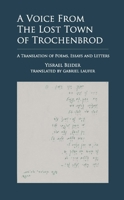 A Voice from the Lost Town of Trochenbrod: A Translation of Poems, Essays and Letters by Yisrael Beider B0DSS4ZJR5 Book Cover