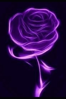 Love Beyond Boundaries B0FJSLVZC1 Book Cover
