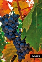 Notes: Ripe grapes. Format A5, 120 pages, fine grey lined. Enter your recipes, recipe ideas, meat and fish grilling recipes or healthy vegan and vegetarian dishes in this beautiful recipe notebook. 1711836117 Book Cover