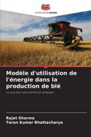 Modèle d'utilisation de l'énergie dans la production de blé (French Edition) 6202338741 Book Cover