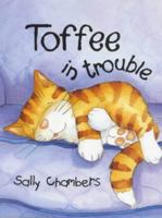 Toffee in trouble 1853405949 Book Cover