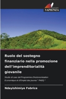 Ruolo del sostegno finanziario nella promozione dell'imprenditorialità giovanile (Italian Edition) 6208500842 Book Cover