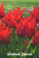 Gratitude Journal: Red Tulips A notebook to record all of the things you are grateful for, 6 x 9 100 pages 1692146025 Book Cover