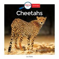 Cheetahs 163584018X Book Cover