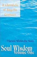 Soul Wisdom, Volume One: A Chronicle of Angelic Contact 0738856711 Book Cover