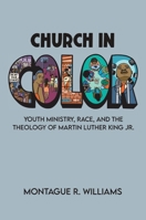 Church in Color: Youth Ministry, Race, and the Theology of Martin Luther King Jr. 1481312219 Book Cover