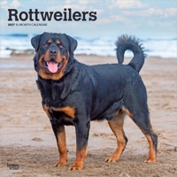Rottweilers 2027 12 X 24 Inch (Hanging) Monthly Square Wall Calendar Plastic-Free B0GH8S7BYK Book Cover