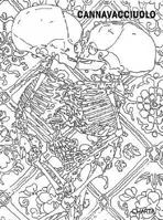 Cannavacciuolo 8881584808 Book Cover