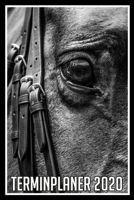 Terminplaner 2020: Jahresplaner von September 2019 bis Dezember 2020 mit Pferd - Planer mit 174 Seiten in wei� im Format A5 mit gl�nzendem Soft Cover. 1704015197 Book Cover