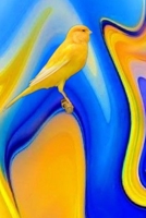 Canary Notes: Notizbuch 120 Seiten 1674149522 Book Cover