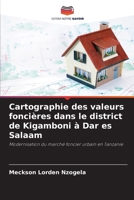 Cartographie des valeurs foncières dans le district de Kigamboni à Dar es Salaam (French Edition) 6202456639 Book Cover