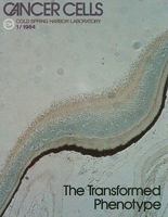 The Transformed Phenotype (Cancer Cells Series, 1) 0879691689 Book Cover