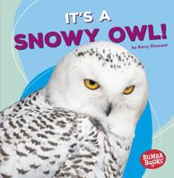 It's a Snowy Owl! 154152697X Book Cover