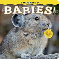 Colorado Babies! 1560376821 Book Cover