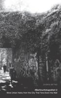 #berlinunfotografiert 2: More Urban Haiku from the City That Tore Down the Wall 1798106426 Book Cover