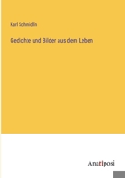 Gedichte und Bilder aus dem Leben 3382043386 Book Cover