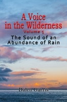 A Voice in the Wilderness - the Sound of an Abundance of Rain 1734221356 Book Cover