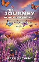 The Journey of an Awakening Soul: Wisdom from the Bath Tub-Volume II B0DVQBS7VL Book Cover