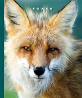 Foxes 1592969321 Book Cover