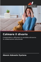 Colmare il divario (Italian Edition) 6209366864 Book Cover