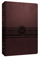 MEV Bible Personal Size Large Print Cherry Brown: Modern English Version 1629980676 Book Cover