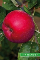 My Garden: Ripe red apple. Format A5, 120 pages, fine grey lined. Journal, diary, notebook and garden planner for everything that happens in the garden throughout the year 1708445544 Book Cover