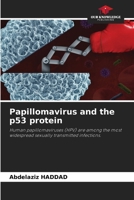Papillomavirus and the p53 protein 6207987527 Book Cover