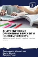 АНАТОМИЧЕСКИЕ ОРИЕНТИР&# 6205760460 Book Cover
