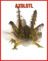 Axolotl: Children Book of Fun Facts & Amazing Photos B08W7GB7WZ Book Cover