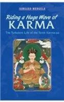 Riding a Huge Wave of Karma: The Turbulent Life of the Tenth Karma-pa 9937506875 Book Cover