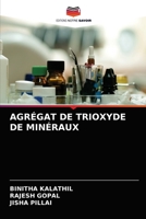 AGRÉGAT DE TRIOXYDE DE MINÉRAUX 6204067982 Book Cover