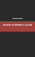 MACRON Un serpent à l'Elysée 1731513534 Book Cover