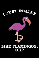 I Just Really Like Flamingos Ok?: Blank Lined Notebook Journal, Perfect For Writing Notes, Funny Gifts for Flamingo Lover (Cute Flamingo Notebook) 1676428720 Book Cover