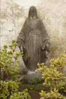 Impressions of Chameleon Rose B08L41B7JP Book Cover