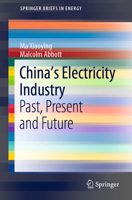 China's Electricity Industry : Past, Present and Future 303053958X Book Cover
