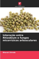 Interação entre Rhizobium e fungos micorrízicos arbusculares (Portuguese Edition) 6209491405 Book Cover