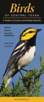 Birds of Central Texas: A Guide to Common & Notable Species 0982490534 Book Cover